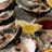Oysters